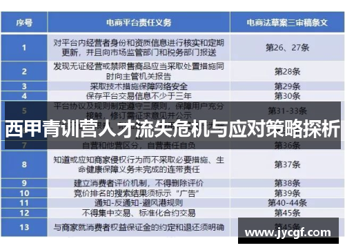 西甲青训营人才流失危机与应对策略探析 西甲青训营人才流失危机与应对策略探析